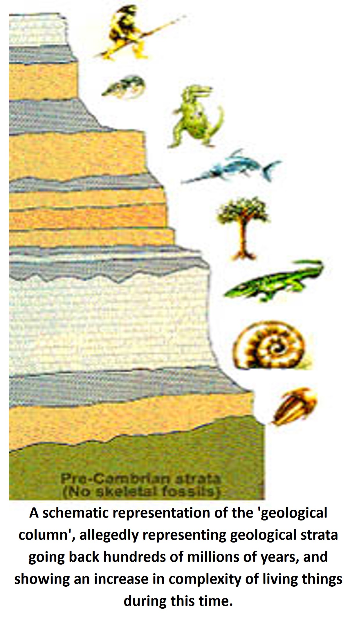 A schematic representation of the 'geological column',