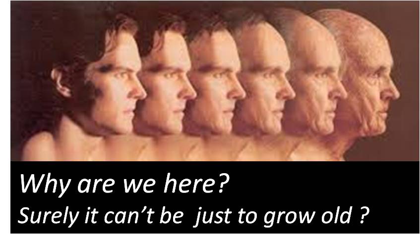 Why are we here? Surely it can't be just to grow old??