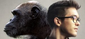 Man vs Monkey