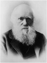 Darwin in 1879 after years of illness