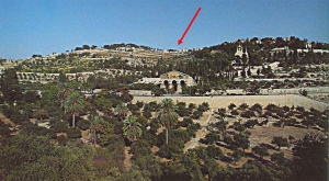 Mt of Olives Fault Line Depression